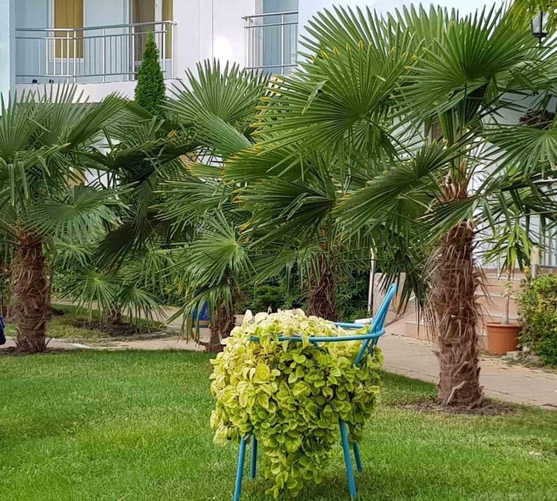 Yassen Holiday Village Slantchev Briag Extérieur photo